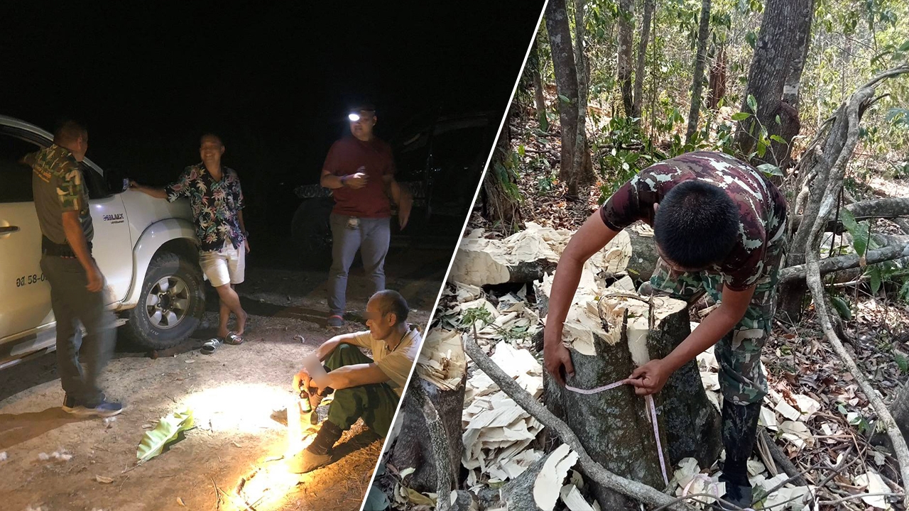 จับชาวเวียดนาม ลอบตัดไม้กฤษณา ในเขตรักษาพันธุ์สัตว์ป่าภูเขียว ยังหนีอีก 6