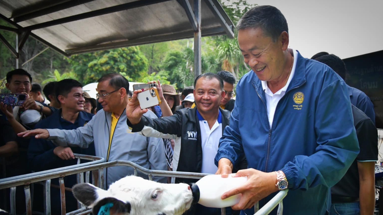 “เศรษฐา” อารมณ์ดีป้อนนมลูกวัว ชิมกาแฟขี้ชะมด แนะทำเชิงพาณิชย์
