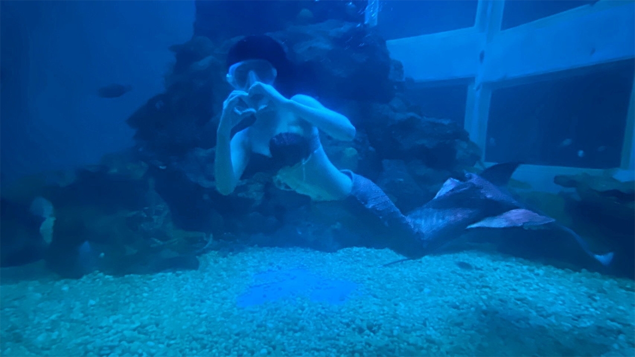 ­­­เกาะตู้ดู "นางเงือก" ที่พิพิธภัณฑ์ "หว้ากอ"