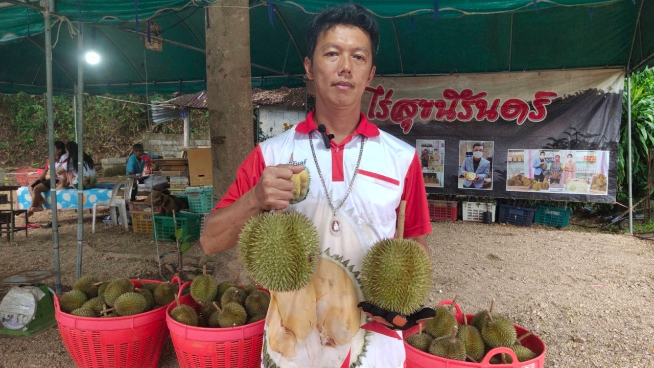 ชวนชิมทุเรียนสาลิกา GI อ.กะปง ชาวสวนฝากภาครัฐโปรโมต เพื่อพยุงราคาผลไม้พังงา