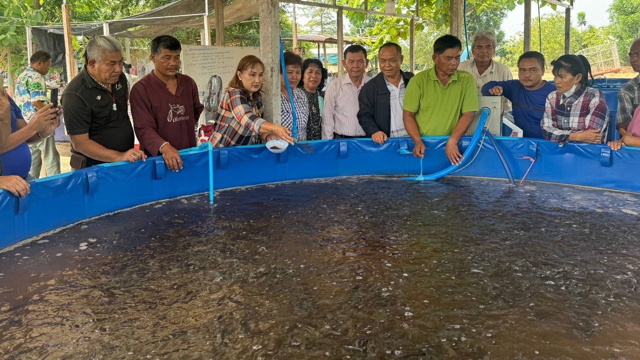 เกษตรกรกำแพงเพชร เลี้ยงปลาดุกปลาสวายแบบปิด "ไมโครนาโนบับเบิ้ล" ลดต้นทุนพามีกำไร