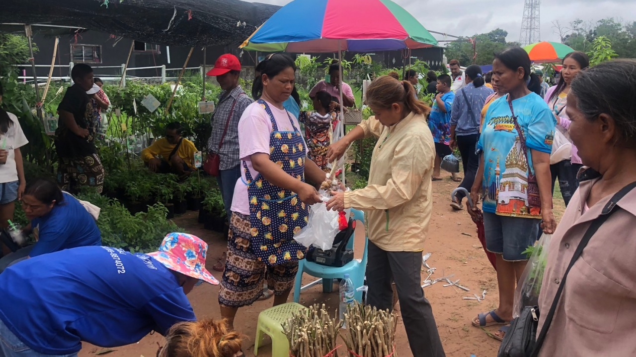 คนแห่ซื้อต้นไม้เต็มตลาดนัดที่ด่านขุนทด ในวันวิสาขบูชาและวันต้นไม้แห่งชาติ