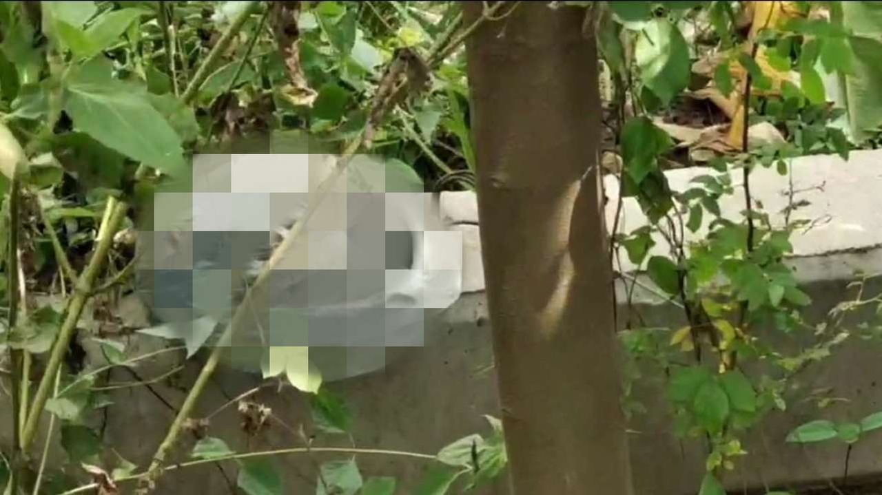 ผงะ พบศพเด็กทารกแรกเกิด ถูกมัดใส่ถุง ทิ้งในป่าใจกลางเมืองสระแก้ว