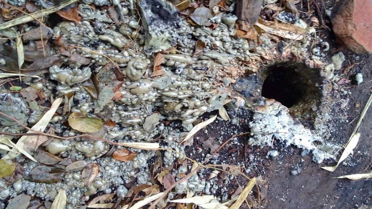 ตรวจสอบเหตุปะทุของก้อนหินใต้ดิน จ.ชัยภูมิ เกิดจากสายไฟแรงสูงรั่วลงดิน