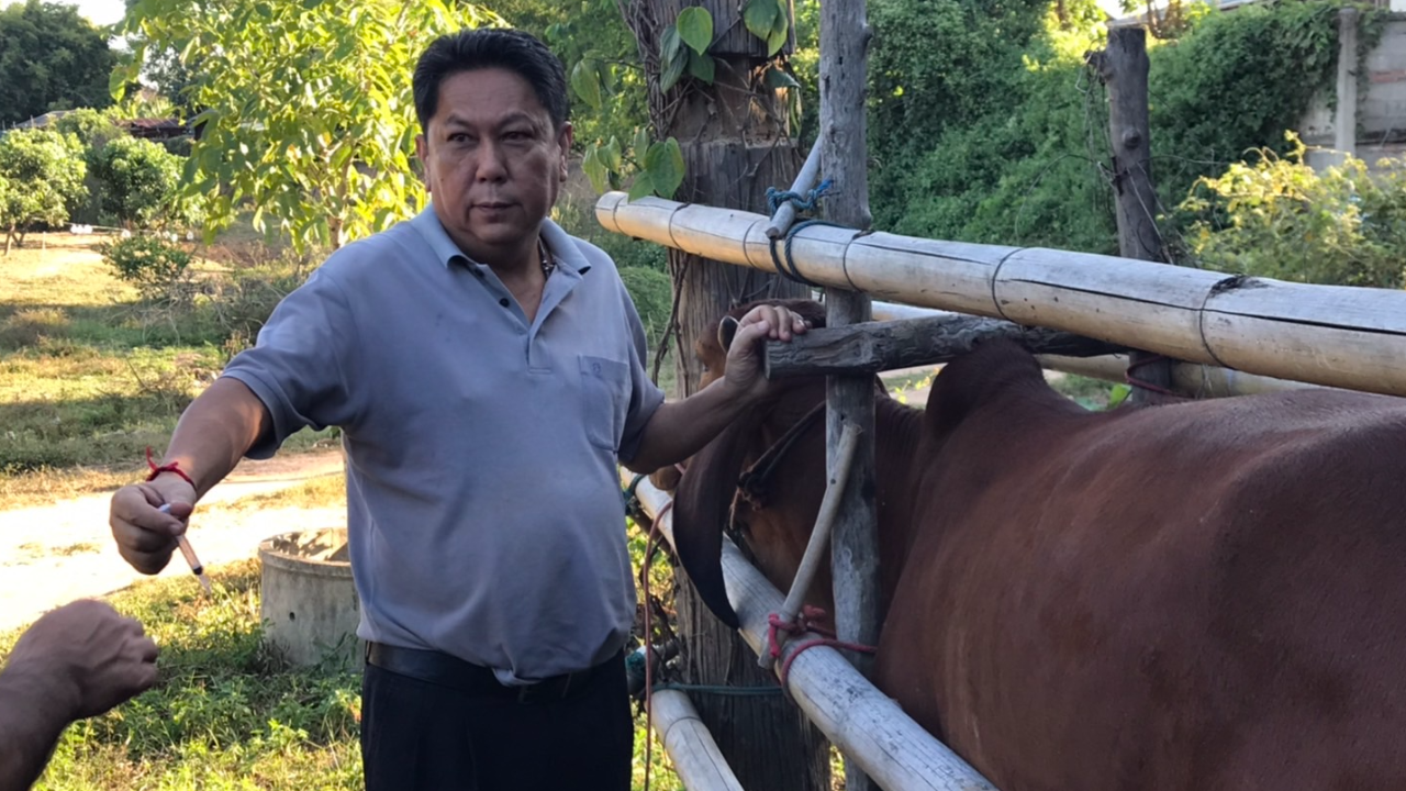 ปธ.ยุทธศาสตร์เกษตรเพื่อไทย จ่อ เดินหน้า “โคเงินล้าน” ชี้ ต้องแก้ทั้งระบบ