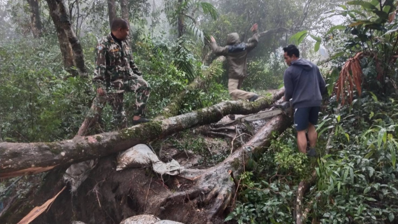 ภูสอยดาว เจอฝนถล่มหนัก แจ้งปิดท่องเที่ยว เดินป่าศึกษาธรรมชาติ 
