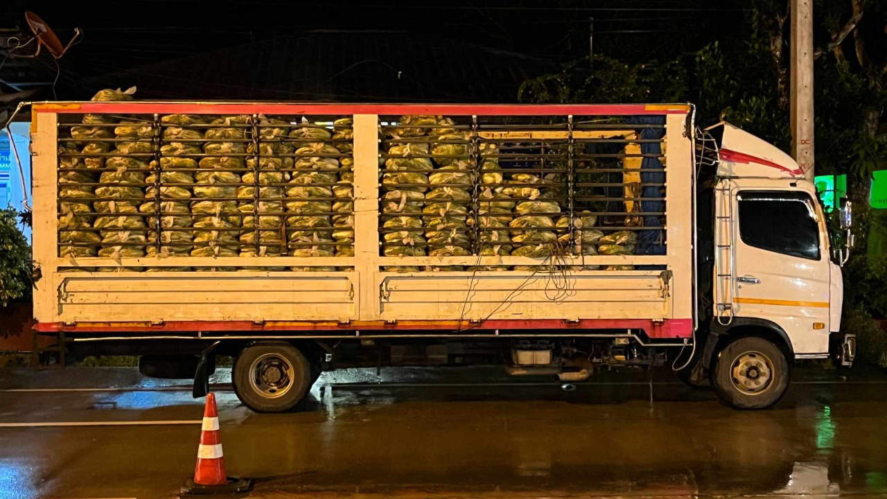 จับต่างด้าวลอบเข้าไทย อัดเต็มช่องลับ ซุก 6 ล้อขนผัก หวิดขาดอากาศหายใจ