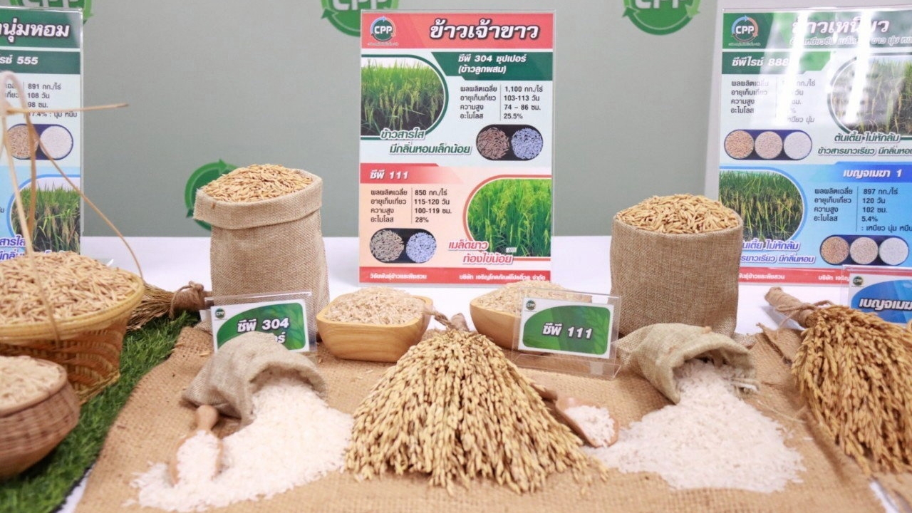 กรมการข้าวจับมือเอกชน ทำยุทธศาสตร์พัฒนาข้าวไทย