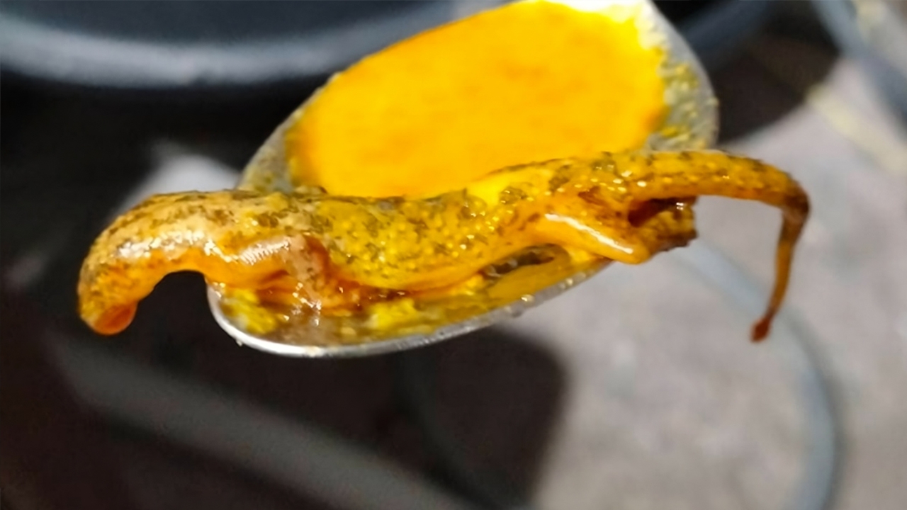 กลัวจนร้องไห้ สาวซื้อแกงจากตลาดนัด กินจนหมดเพิ่งตักเจอ “จิ้งจก” โผล่มาทั้งตัว