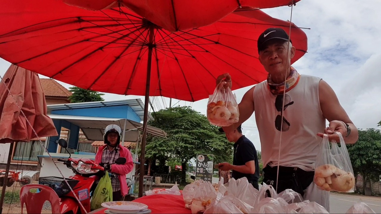 ฝนมาเห็ดป่าโผล่ ชาวบ้านที่พะเยาออกหาเห็ดขายข้างทาง ทำเงินวันละหลายพันบาท