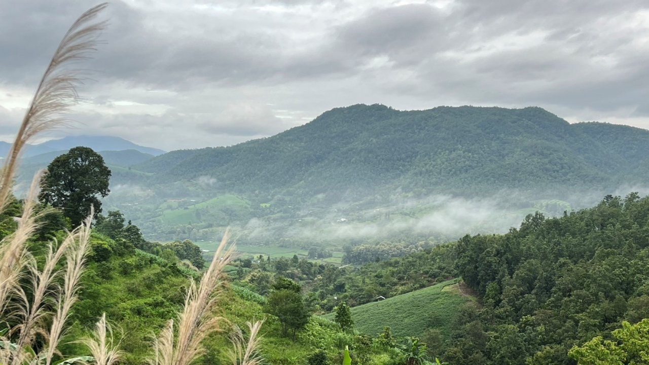 วันหยุดเที่ยวดอย สัมผัสสายหมอกของแม่แจ่มในหน้าฝน เสน่ห์เกินต้านกรีนซีซั่น