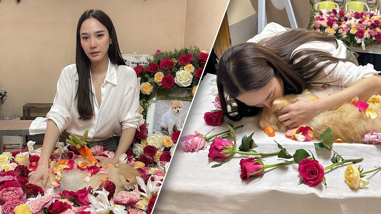 อั้ม พัชราภา ทำพิธีอาลัย น้องปอมปอม ส่งน้องหมาสุดรักกลับดาวสุนัข