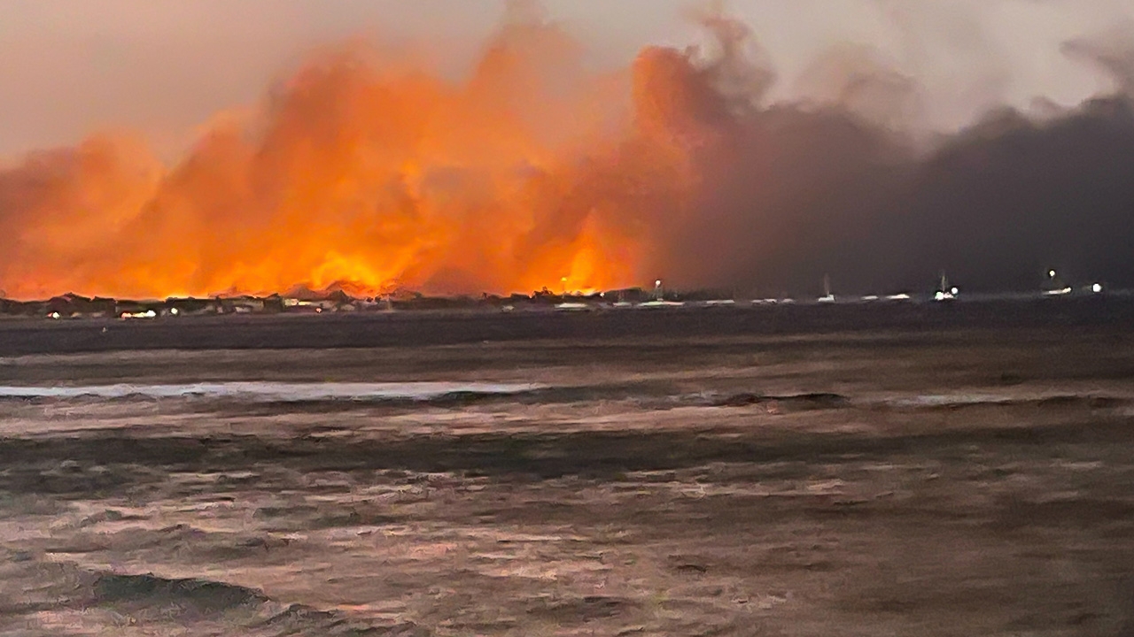 ส่องปัจจัยทำไฟป่าเกาะเมาวี แรงกว่าปกติ ลุกลามเร็วแถมรับมือยาก