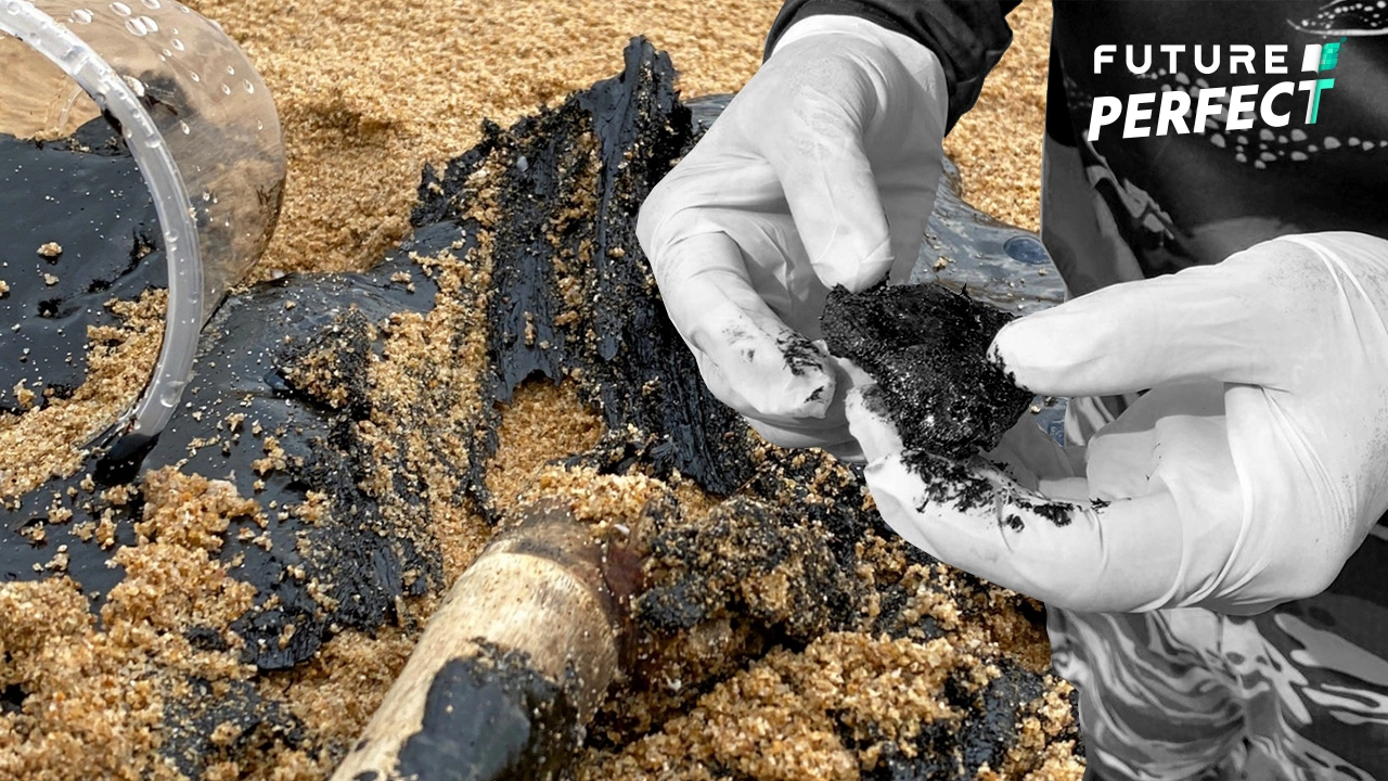 开放性结块导致焦油普吉岛海滩、攀牙湾海洋动物面临重金属污染风险