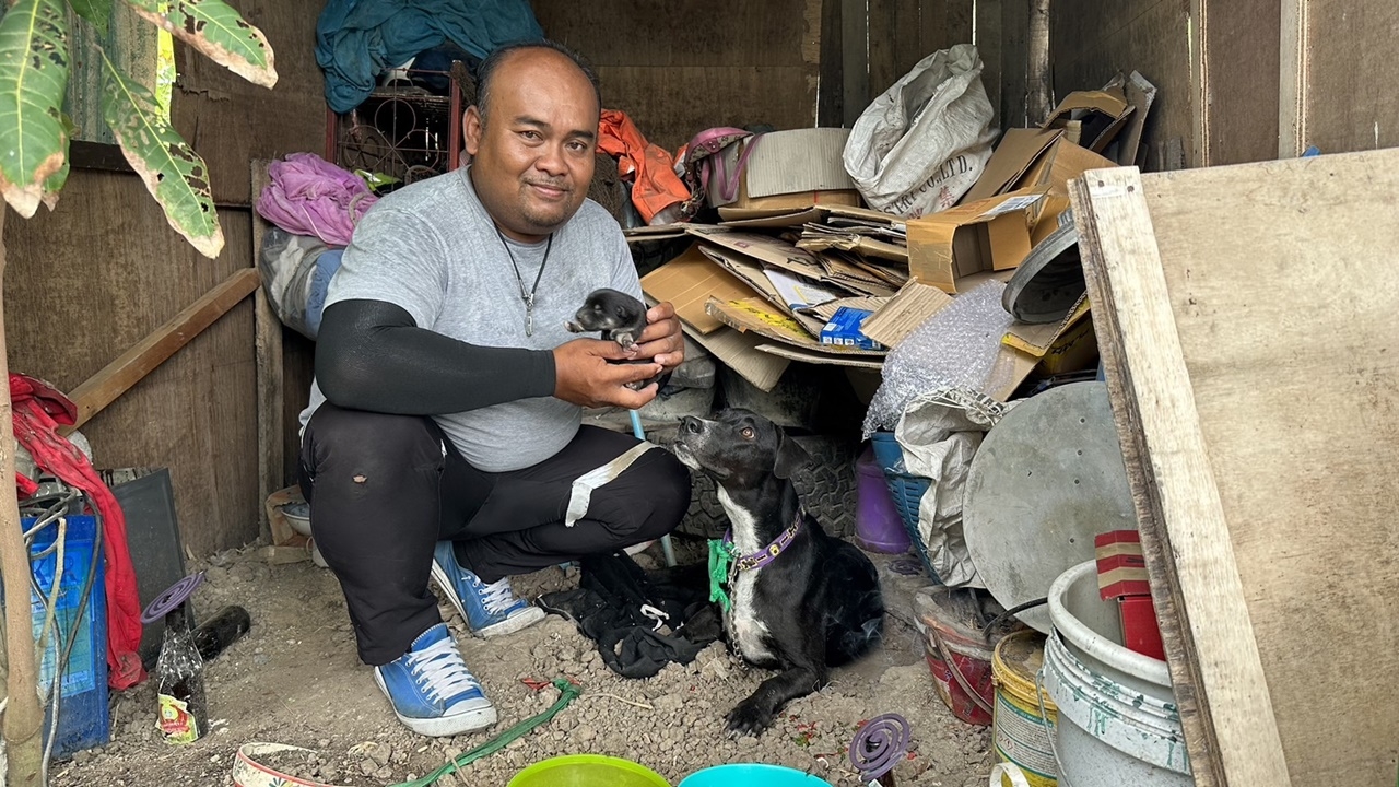 สุนัขท้องแก่ ถูกคนใจบาปลอบยิงเกือบตาย หมอช่วยทัน-หนุ่มกู้ชีพรับเลี้ยง