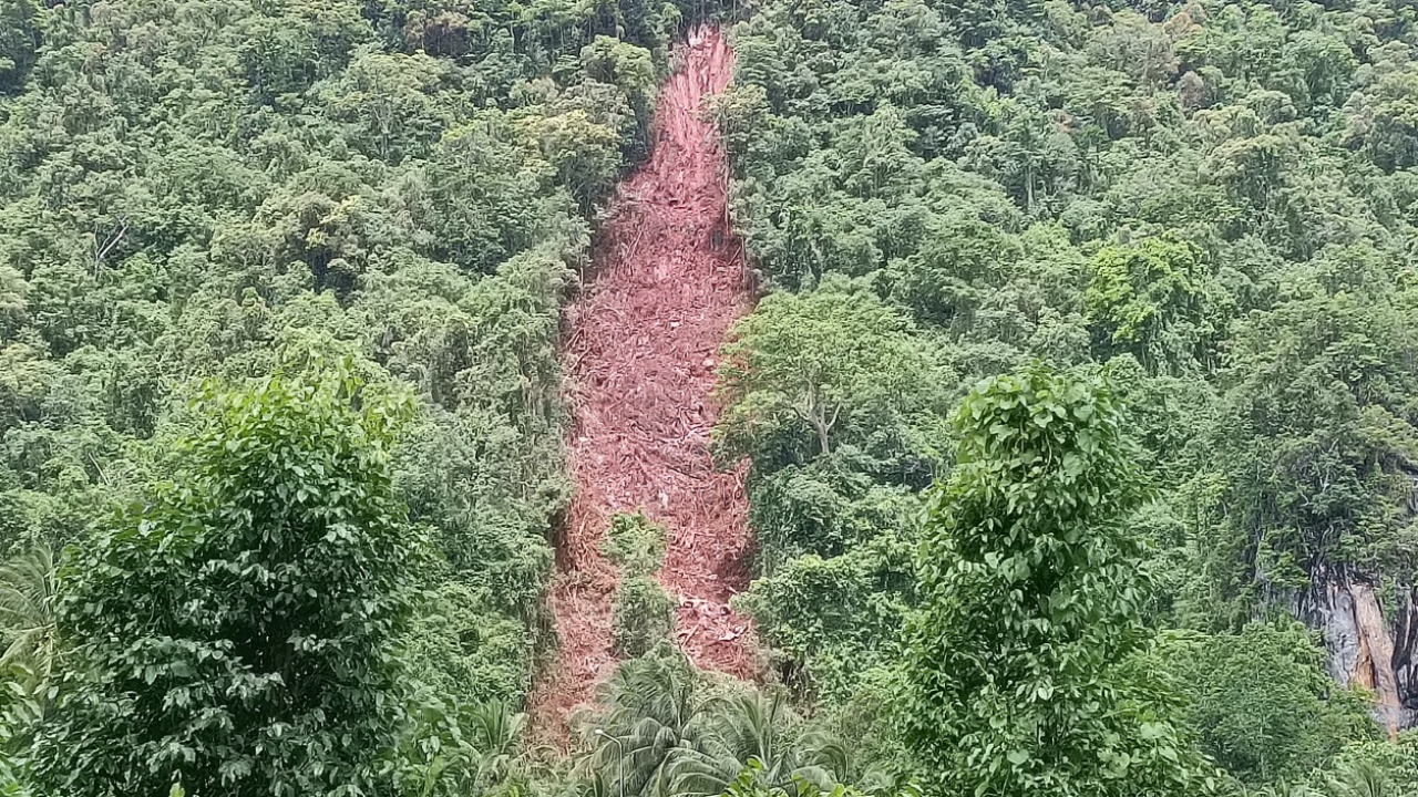 ฝนตกสะสม ดินภูเขาอุ้มน้ำ ถล่มเสียงดังสนั่นที่พังงา  