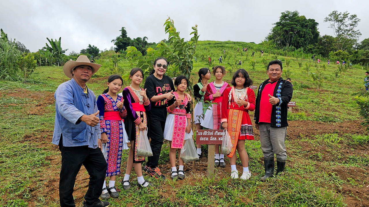 ชม “ซากุระแท้” ที่ร่องกล้า