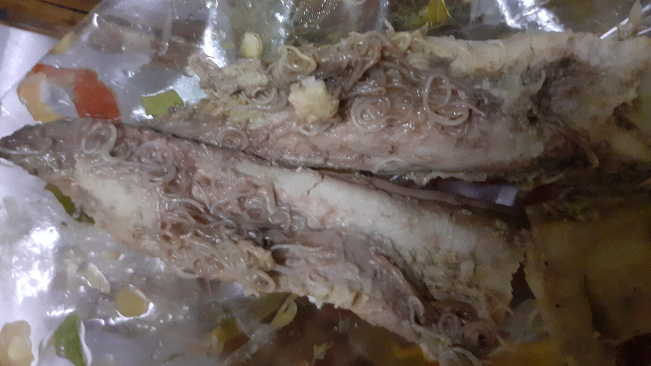 หมอเฉลยแล้ว หลังสาวซื้อซาบะมากิน เจอตัวยั้วเยี้ยในท้องปลา คล้ายตะไคร้ซอย