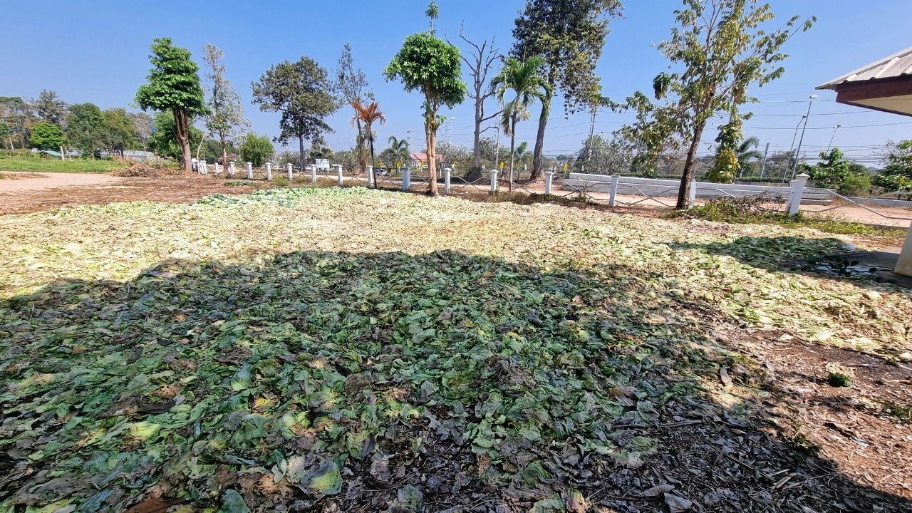 เศรษฐกิจหมุนเวียนสู่ภาคเกษตร เริ่มเห็นผล..ลดรายจ่ายรายได้เพิ่ม