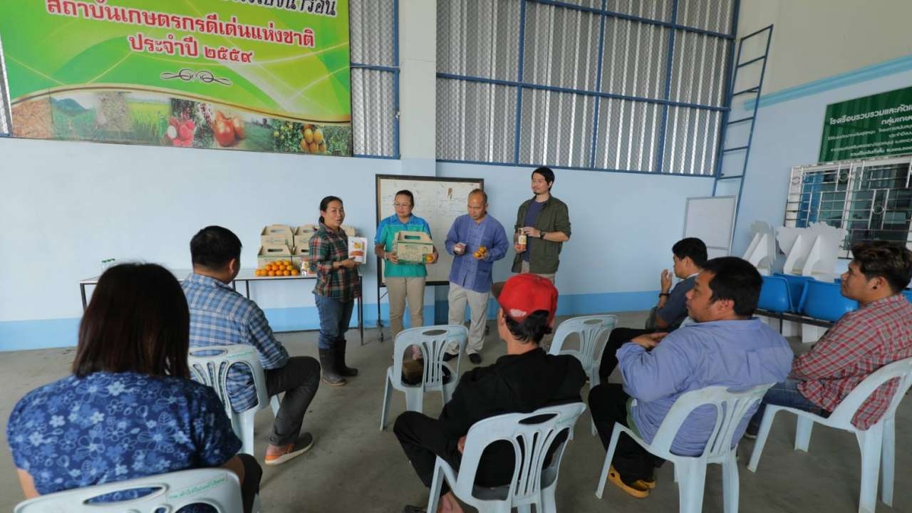 เกษตร จ.เชียงใหม่ หนุนส้มสายน้ำผึ้งฝาง ชูรสชาติเลิศ ถูกใจผู้บริโภค