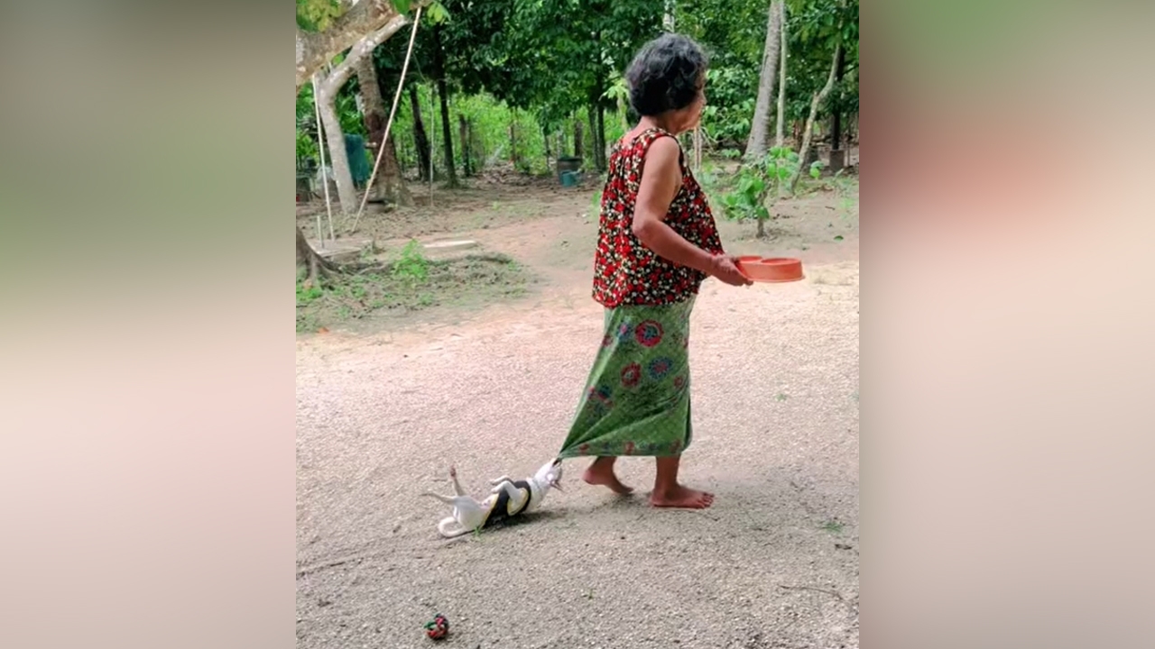 ใครเห็นก็เอ็นดู คลิปไวรัล "เจ้ามะปราง" สุนัขแสนซน กัดชายผ้าถุงยายไม่ปล่อย