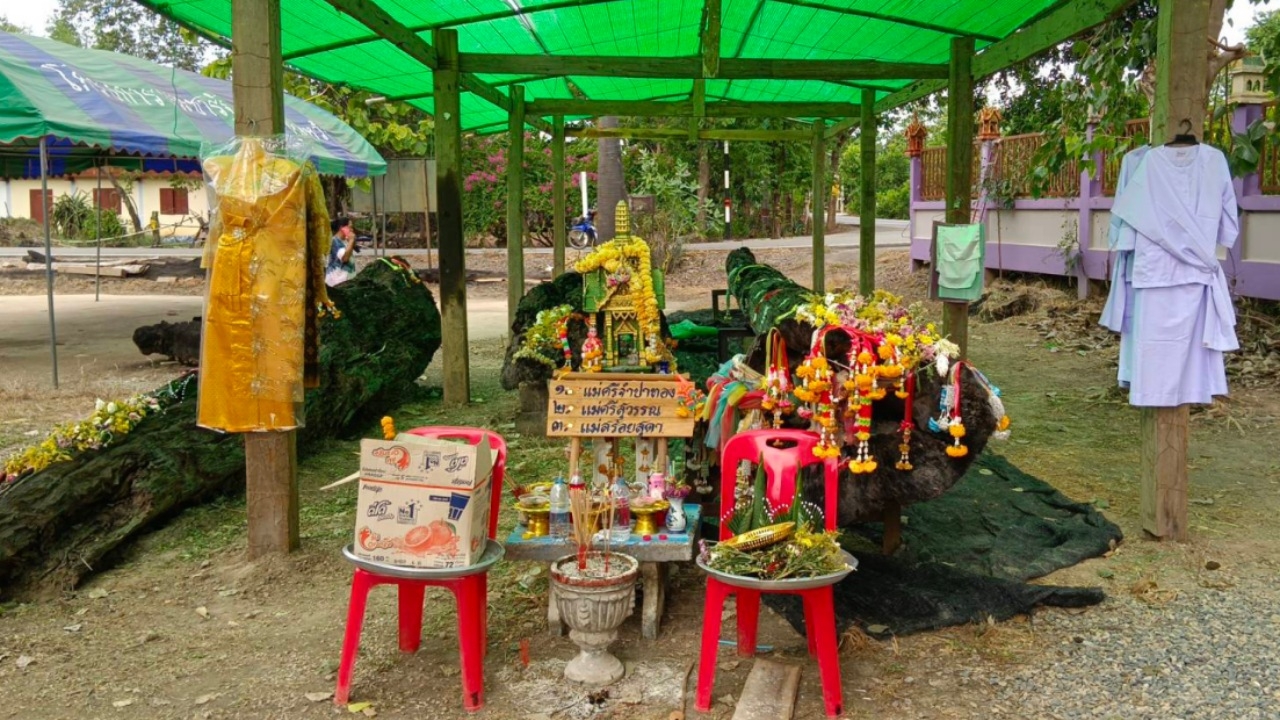 แม่ตะเคียน 3 พี่น้อง ใจดีให้โชคเกือบทั้งหมู่บ้าน คอหวยไม่พลาด "เลขเด็ดงวดนี้"