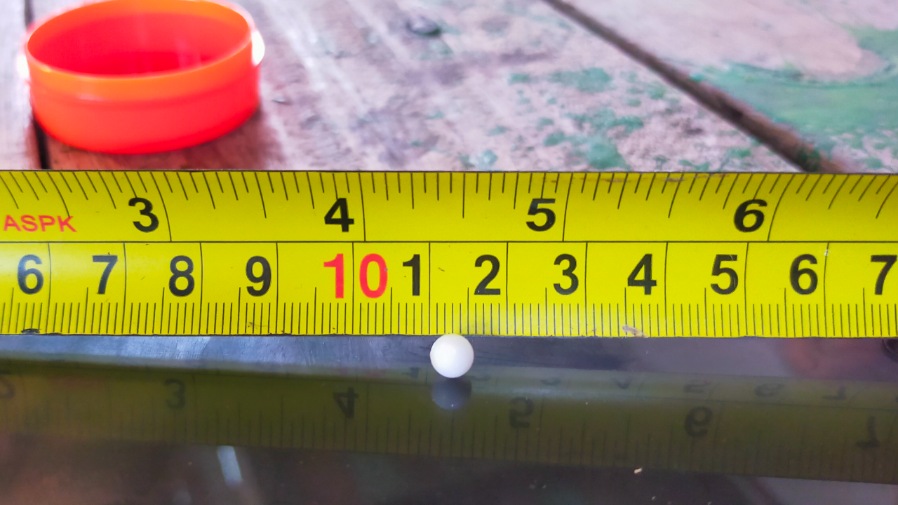 เจออีก กินหอยครางเจอเม็ดกลมๆ 2 ผัวเมียเมืองสี่แคว ลุ้น "มุกเมโล"