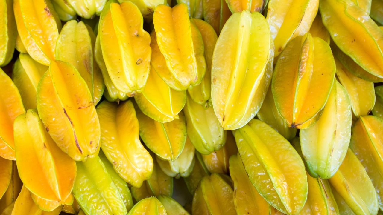 "หมอแล็บ" เตือนผู้ป่วยโรคไต อย่ากิน "มะเฟือง" รุนแรงขั้นไตวายเสียชีวิต