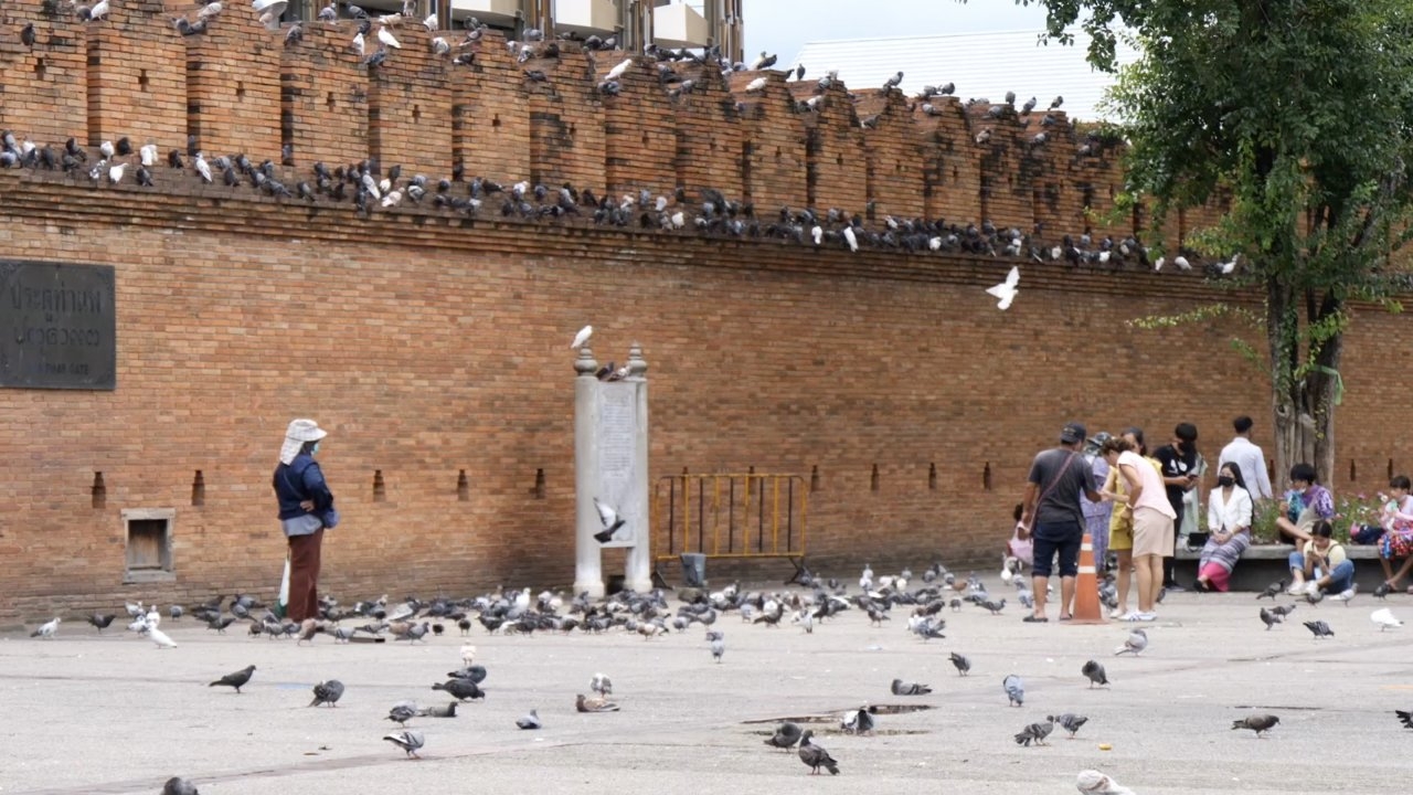 หยุดยาวนักท่องเที่ยวแห่เช็กอินท่าแพ คาดเงินสะพัดทั่วเมืองเชียงใหม่กว่าร้อยล้าน