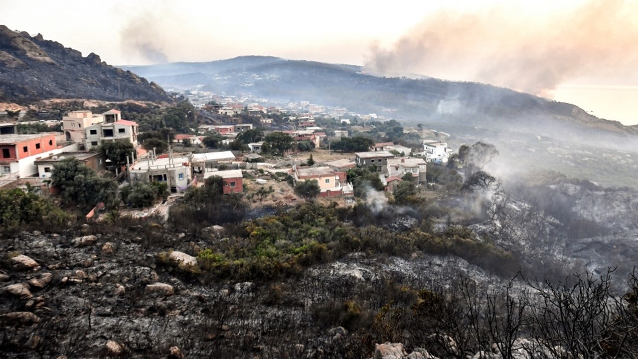 แอลจีเรียร้อนจัด ไฟป่าลามหนักคร่าแล้ว 15 ศพ อพยพคนนับพัน