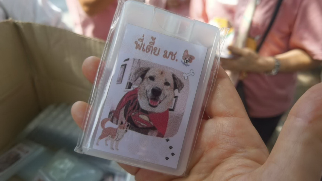 ตัดสินแล้วคดีพี่เตี้ย มช. ส.ต.ท. ฆ่าสุนัข โดนคุก 6 เดือนไม่รอลงอาญา