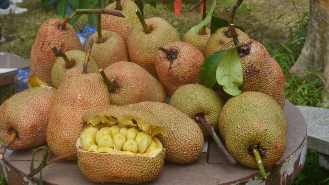 博他仑的好东西“Champada Phanthong Liao”已经上市了，必须在网上预定，货品很少，200一斤。