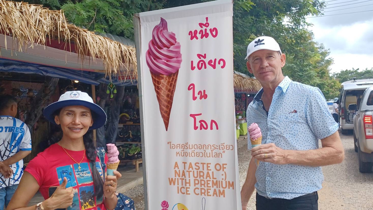 แจ้งเกิดไอศกรีมดอกกระเจียว ผลต่อยอดงานวิจัย เป็นของกินใหม่ที่ต้องต่อคิวซื้อ