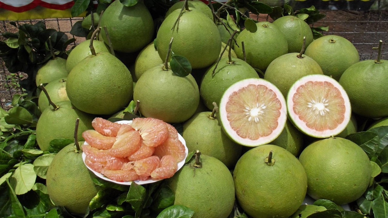 ส้มโอไทย เตรียมส่งไปญี่ปุ่นได้ทุกสายพันธุ์ โดยติดฉลาก Functional Foods เริ่มปี 67