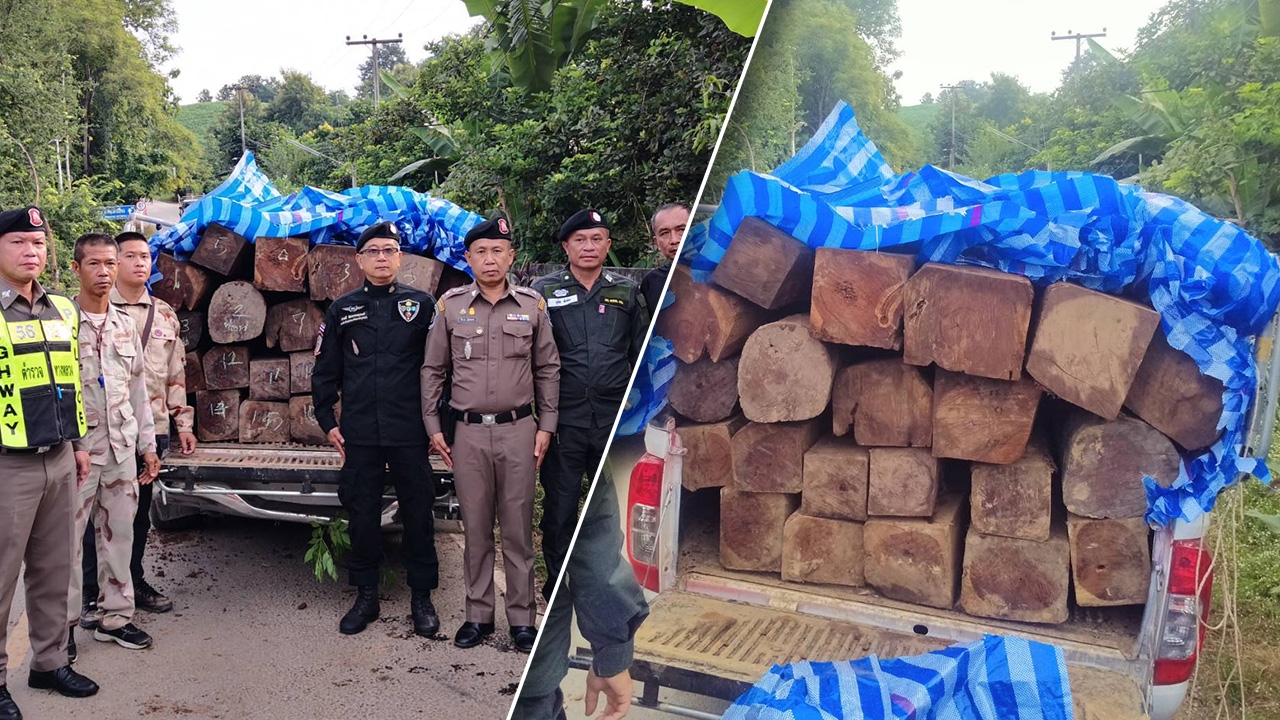ปราบยังไงก็ไม่หมด จับอีกกระบะขนไม้ชิงชัน เตรียมส่งนายทุน ของกลางเกือบล้าน