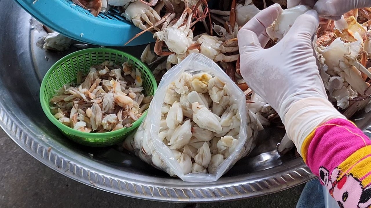 แกะปูม้า อาชีพทำเงินให้ชาวตราด คิด กก.ละ 55 บาท แต่ละวันรายได้ 2-3 ร้อย