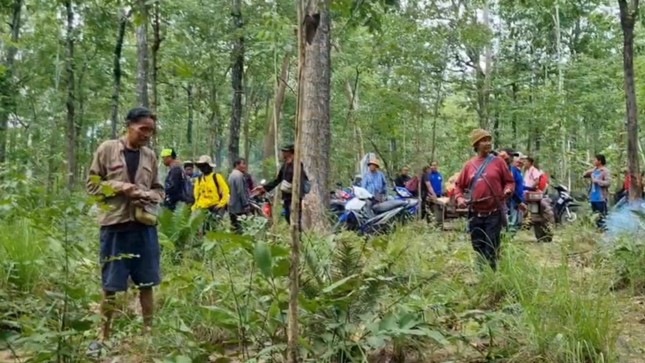 พ่อเฒ่า 71 ปี หาหน่อไม้ สูญหายในป่า หาข้ามคืนยังไม่เจอ 