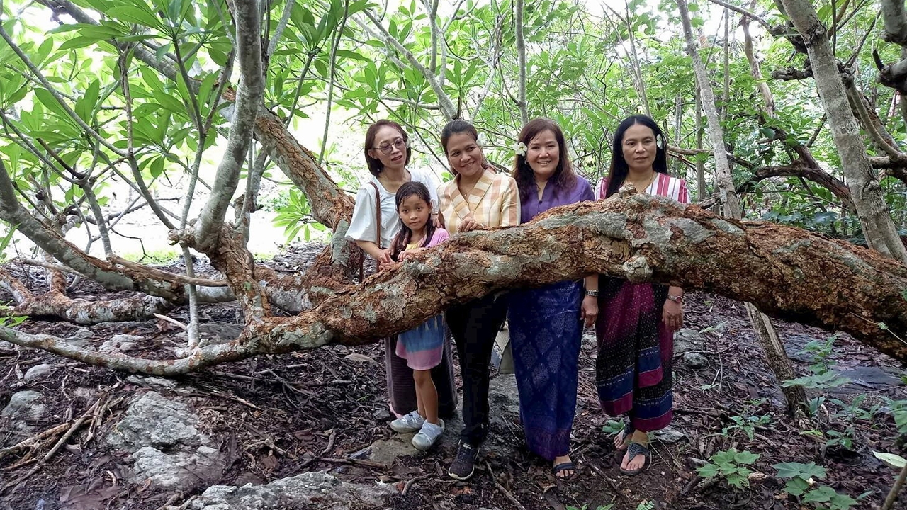 มหัศจรรย์รัก ที่ “ภูจำปา”