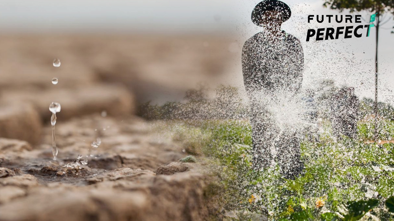 เอลนีโญใกล้เข้ามา ฝนตกน้อย เตือนเกษตรกรปรับการเพาะปลูก ก่อนเจ็บหนัก