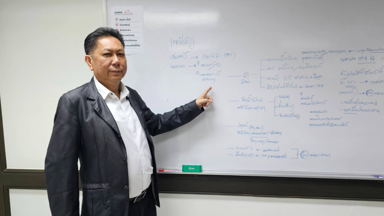 เพื่อไทย เตรียมผลักดันส่งเสริมปลูกข้าวสาลี พร้อมเปิดตลาดใหม่เพิ่มการส่งออก