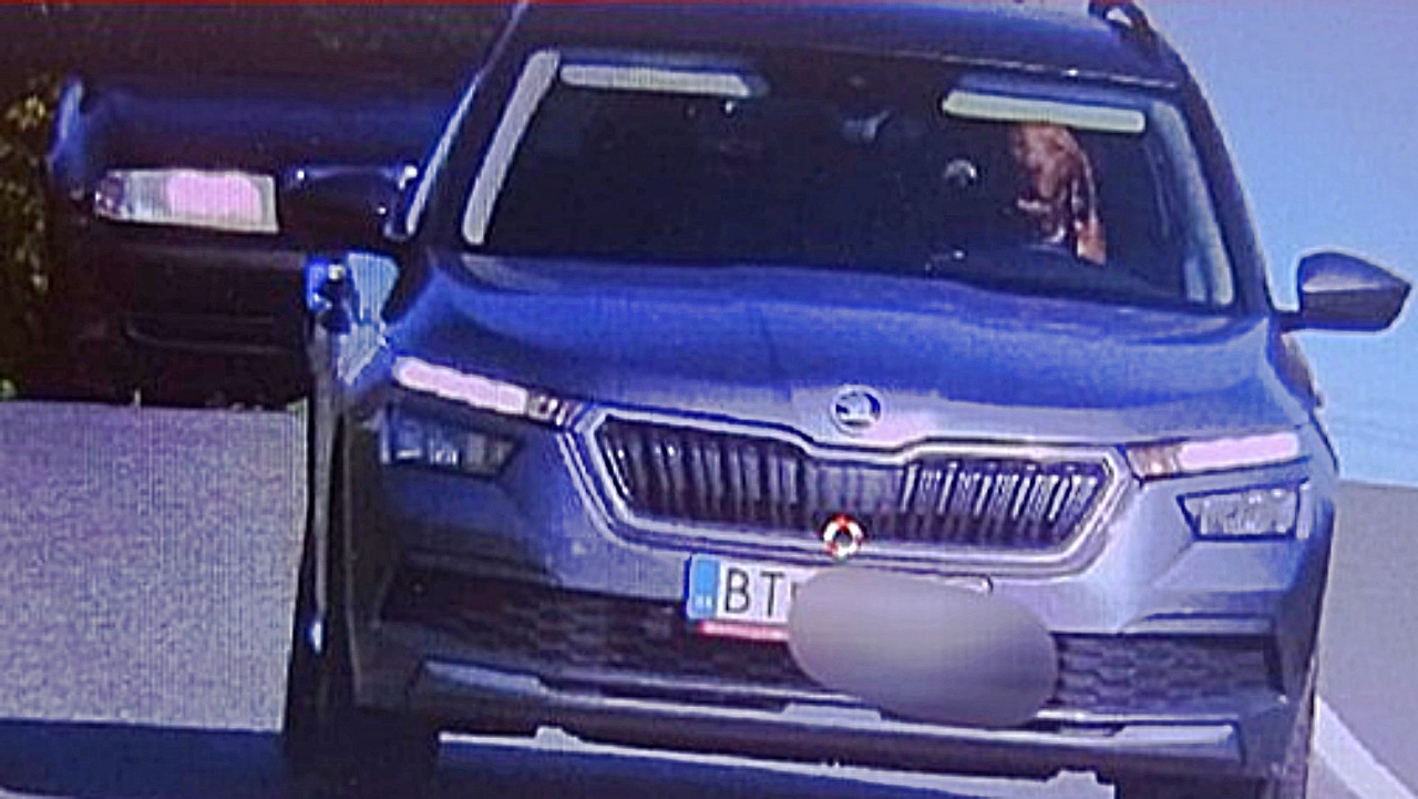 ตำรวจสโลวาเกียปรับเจ้าของรถ นำสุนัขนั่งหลังพวงมาลัย