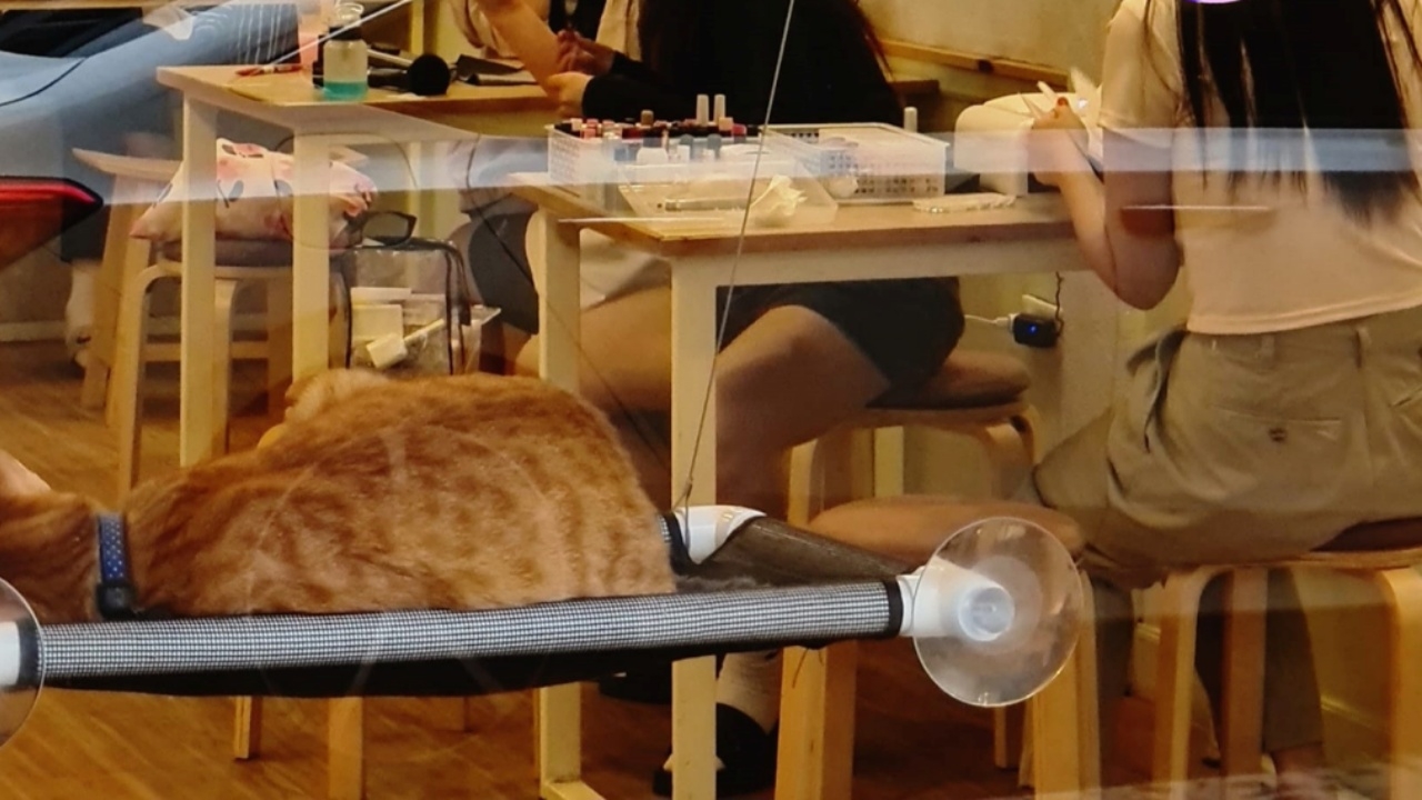 แบบนี้ได้เหรอ เจ้าของคาเฟ่สุดงง เมื่อลูกค้านัดช่างมานั่ง "ทำเล็บ" ในร้าน