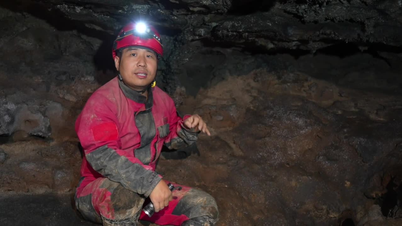 ตะลึง จีนขุดพบซากแพนด้าโบราณอายุกว่า 3,000 ปี