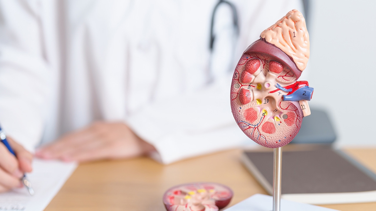 “Cystic kidney disease” ถุงน้ำในไต..ถ่ายทอดได้ทางพันธุกรรม