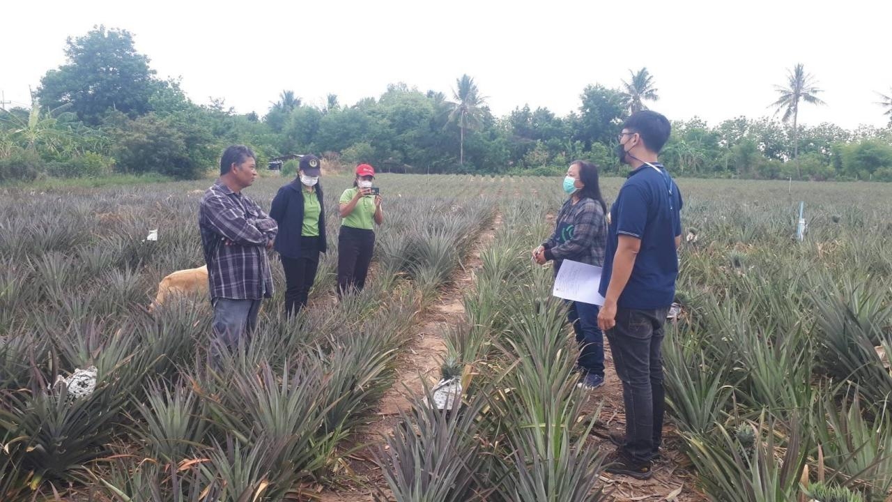 กรมวิชาการเกษตร ขยายผลงานวิจัยพร้อมใช้เทคโนโลยีผลิตพันธุ์พืชดี สู่ความยั่งยืน