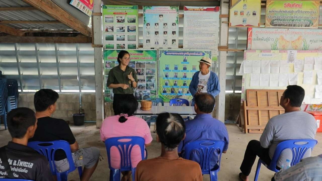 "กรมข้าว" ชวนชาวนาเปลี่ยนเมล็ดพันธุ์ข้าว เพิ่มคุณภาพสู่ตลาดโลก