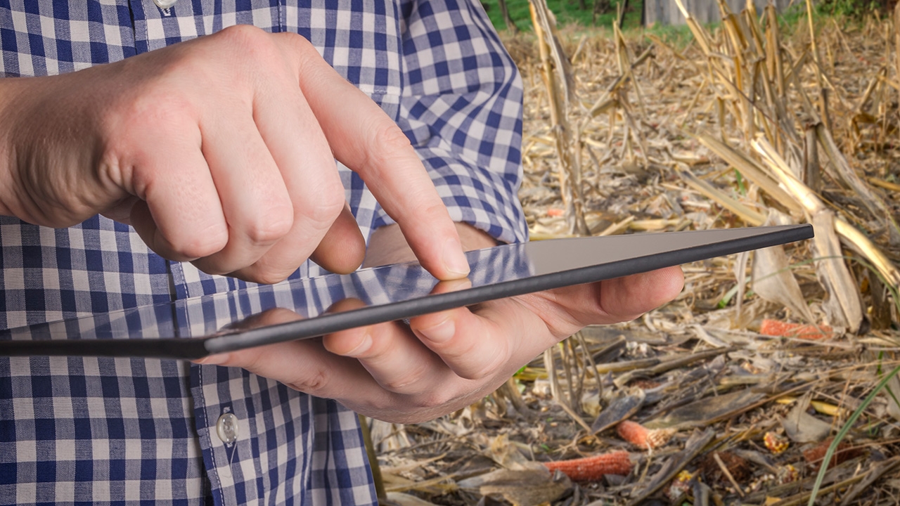 อวสานการอุ้มราคาพืช