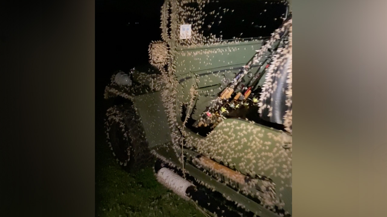 ฝูงแมลงชีปะขาวบุกยึดรถ ขับกลับบ้าน 10 กม. ยังเกาะแน่น ไม่หลุดง่ายๆ