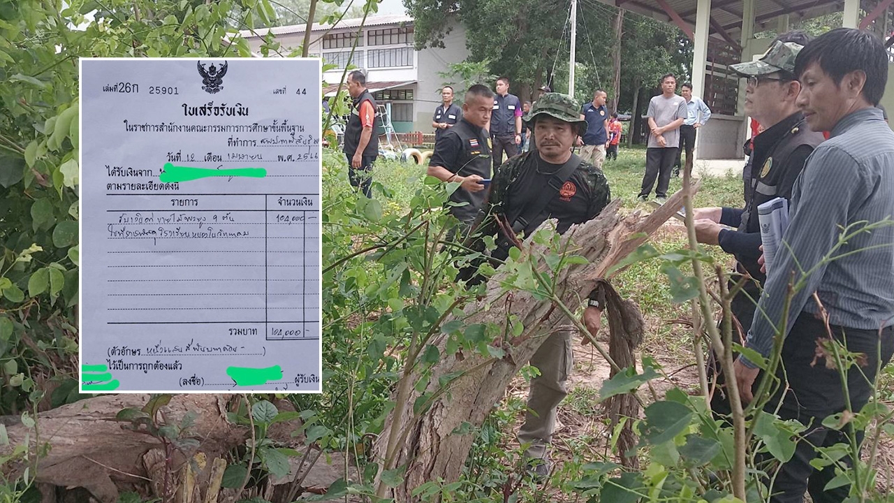สั่ง "ธนารักษ์พื้นที่กาฬสินธุ์" แจงด่วน ปม "ประมูลขายไม้พะยูง" แฉพิรุธสร้างสถานการณ์ตัดไม้