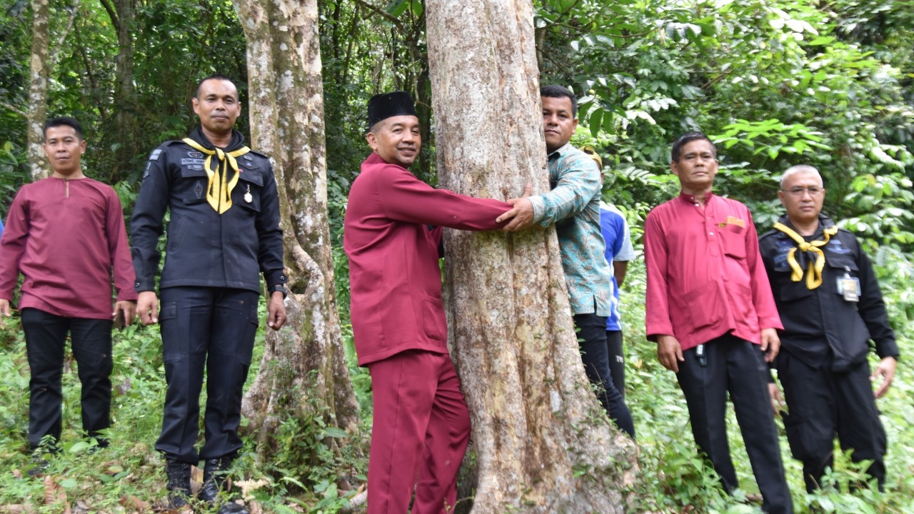 ขึ้นเทือกเขาโต๊ะเจ๊ะนิ ตามหาต้นลองกอง 250 ปี กำเนิดตำนาน ลองกองซีโปตันหยงมัส